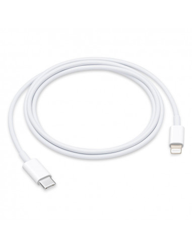 1 Cable USB-C a Lightning 1m